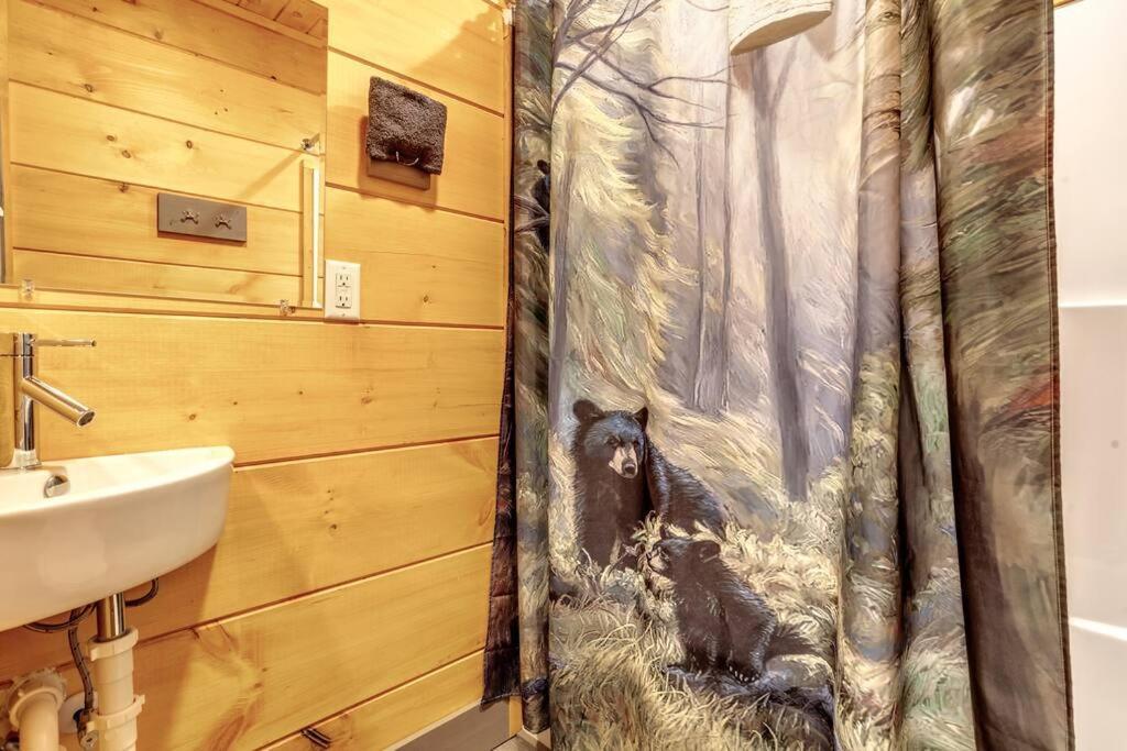 Dancing Bear Cabin- Relax & Enjoy! Sevierville Exteriér fotografie