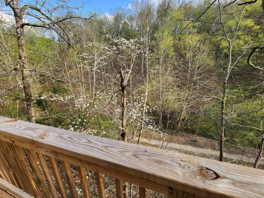 Dancing Bear Cabin- Relax & Enjoy! Sevierville Exteriér fotografie