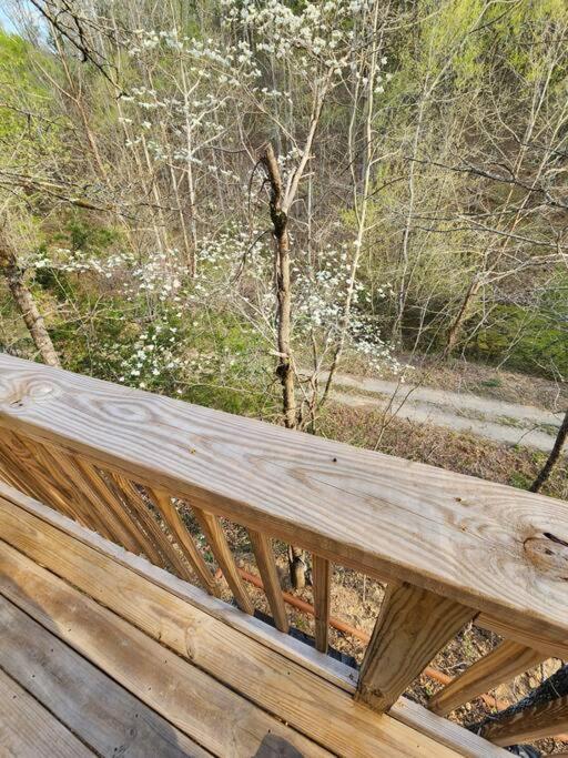 Dancing Bear Cabin- Relax & Enjoy! Sevierville Exteriér fotografie